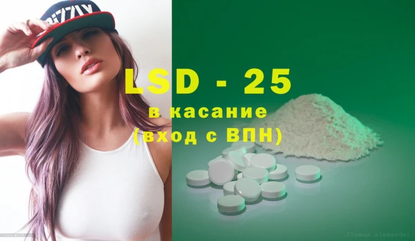 крисы Елабуга