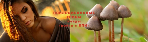 MDMA Premium VHQ Ельня