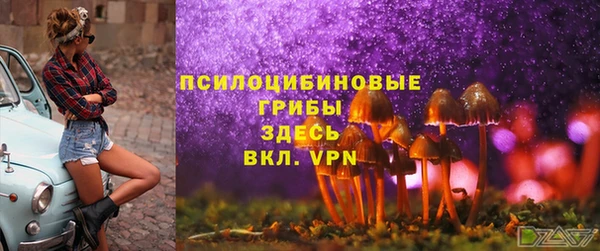прущая мука Дмитров