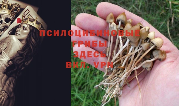 прущая мука Дмитров