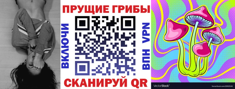 мега ссылка  Нурлат  Галлюциногенные грибы Psilocybe 