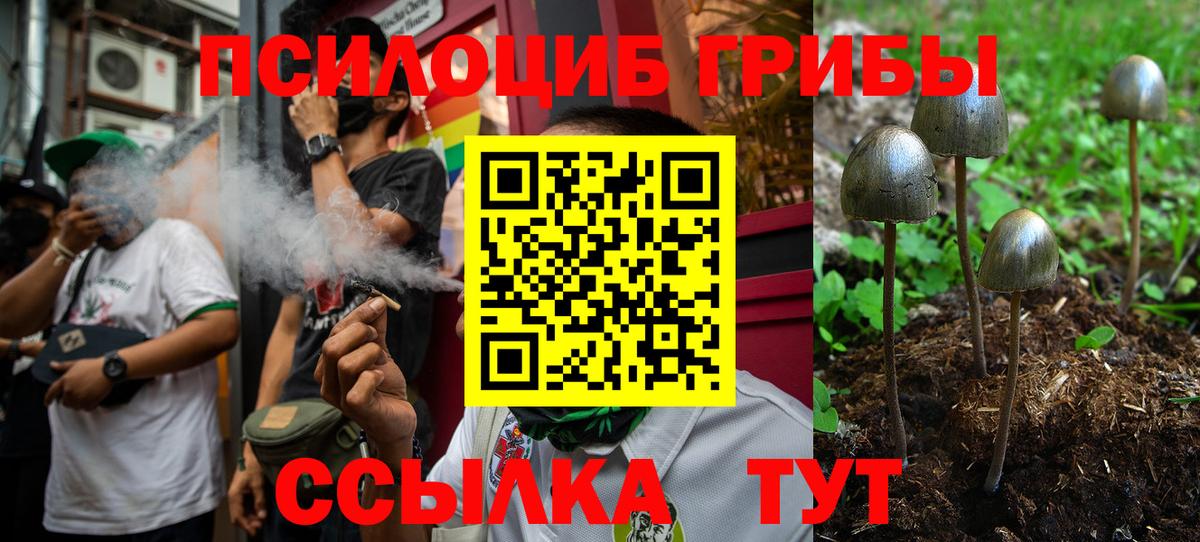 Галлюциногенные грибы GOLDEN TEACHER  Нурлат 